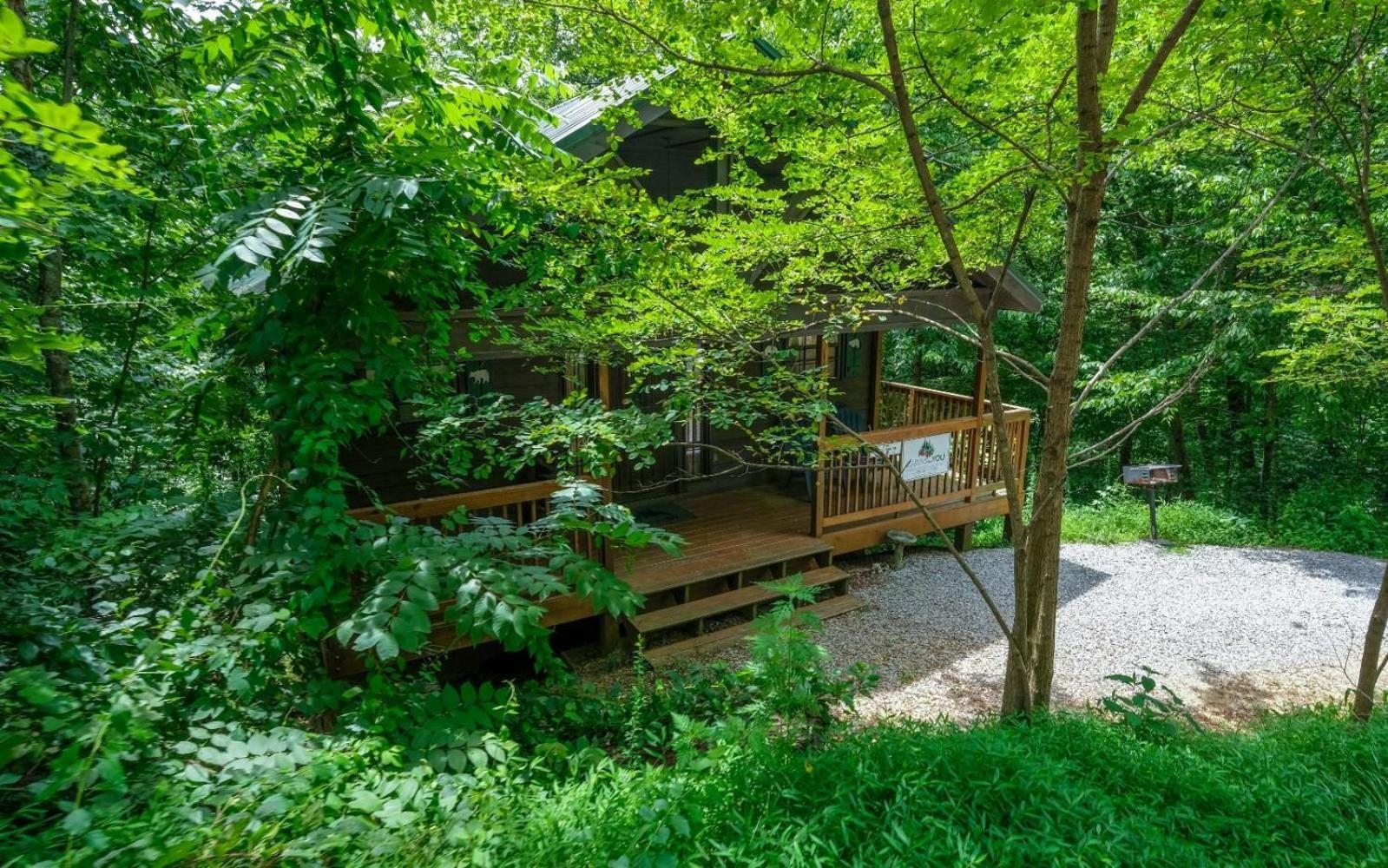 개틀린버그 The Tree House 빌라 외부 사진